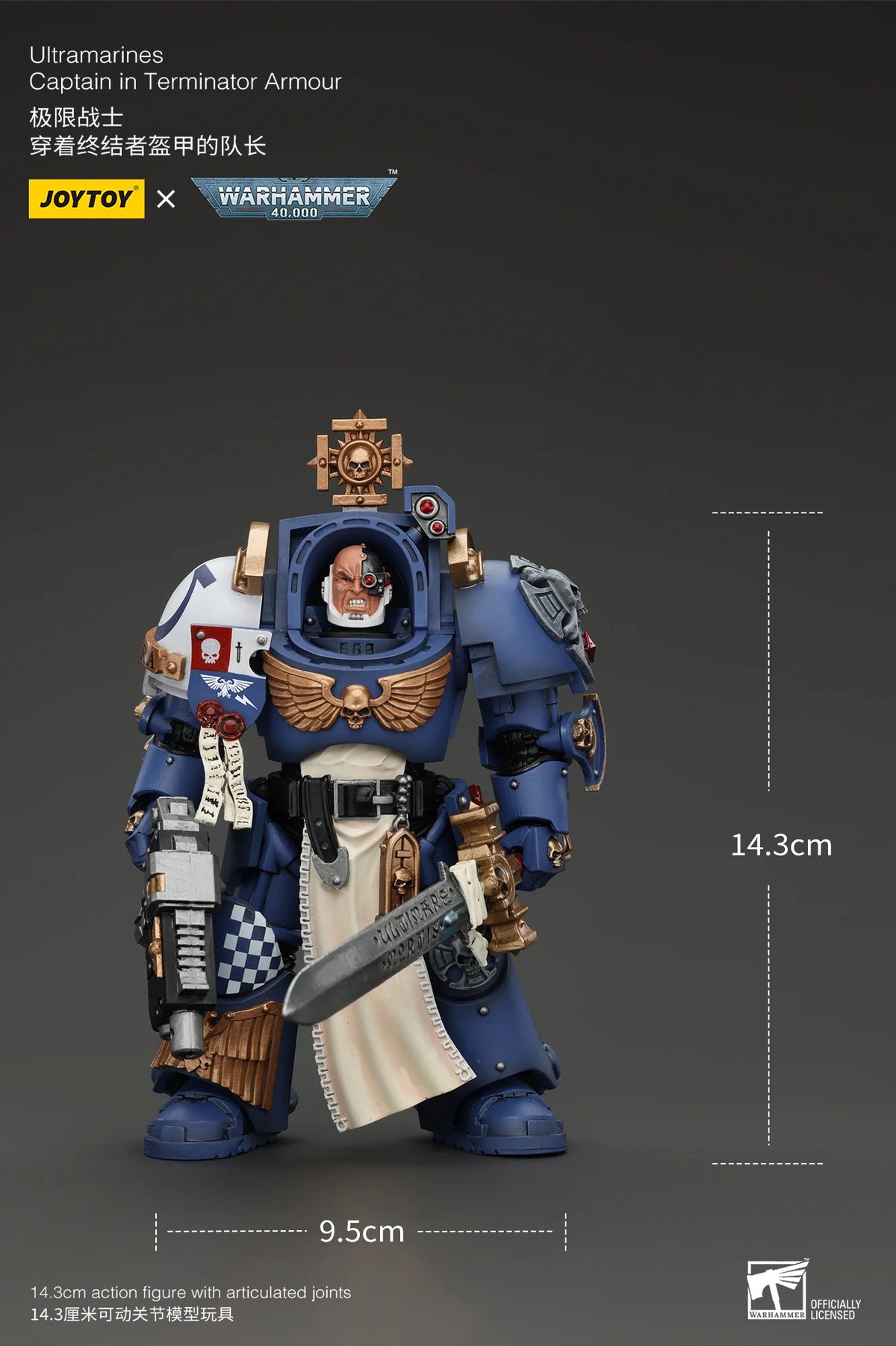 Ultramarines Captain In Terminator Armour