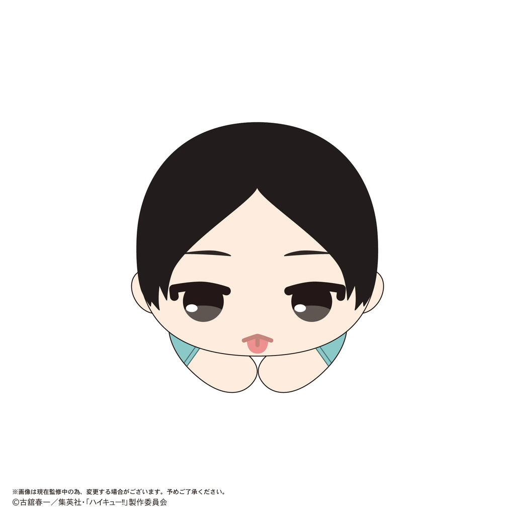 Haikyu!! HUG CHARACTER COLLECTION9 (6pc per box)