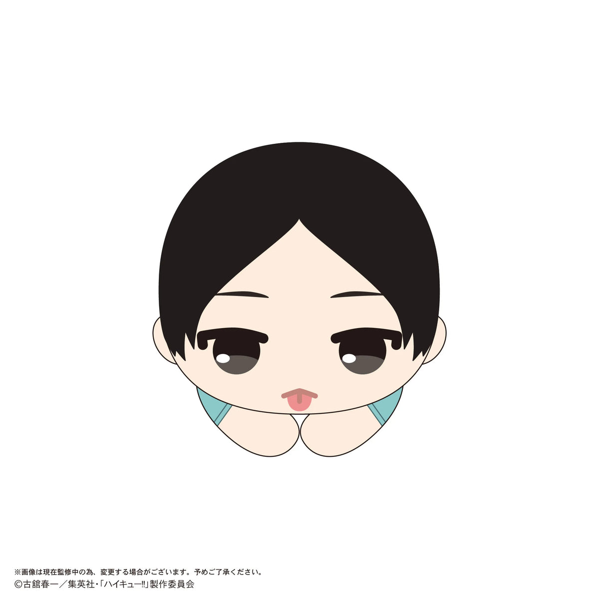 Haikyu!! HUG CHARACTER COLLECTION9 (6pc per box)