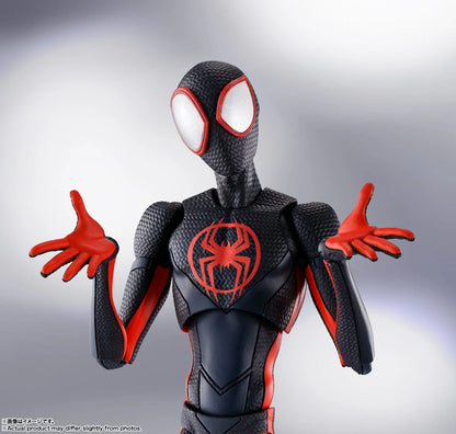 Spider -Man (Miles Morales) (Spider-Man: Across the Spider-Verse)