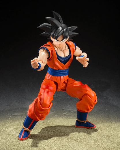 SON GOKU <THE KIND-HEARTED SAIYAN> "DRAGON BALL Z"