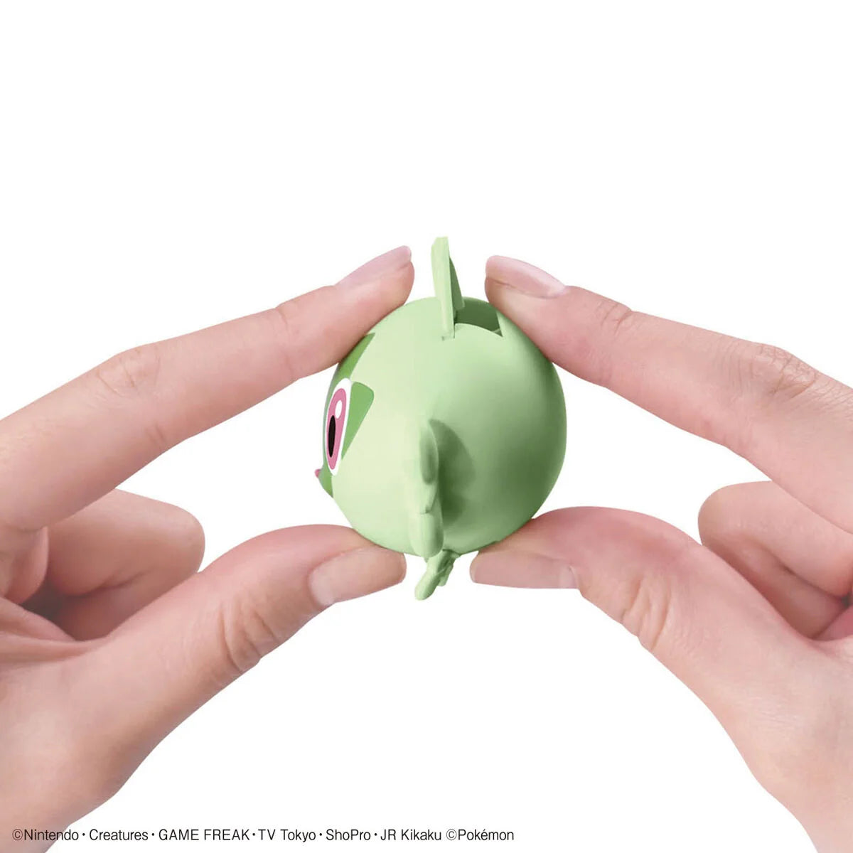 Pokémon Model Kit QUICK!! 18 SPRIGATITO