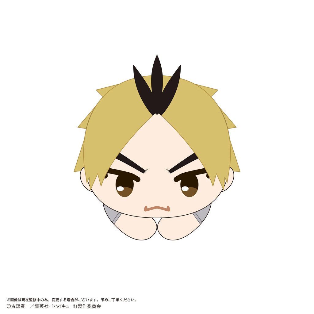 Haikyu!! HUG CHARACTER COLLECTION9 (6pc per box)