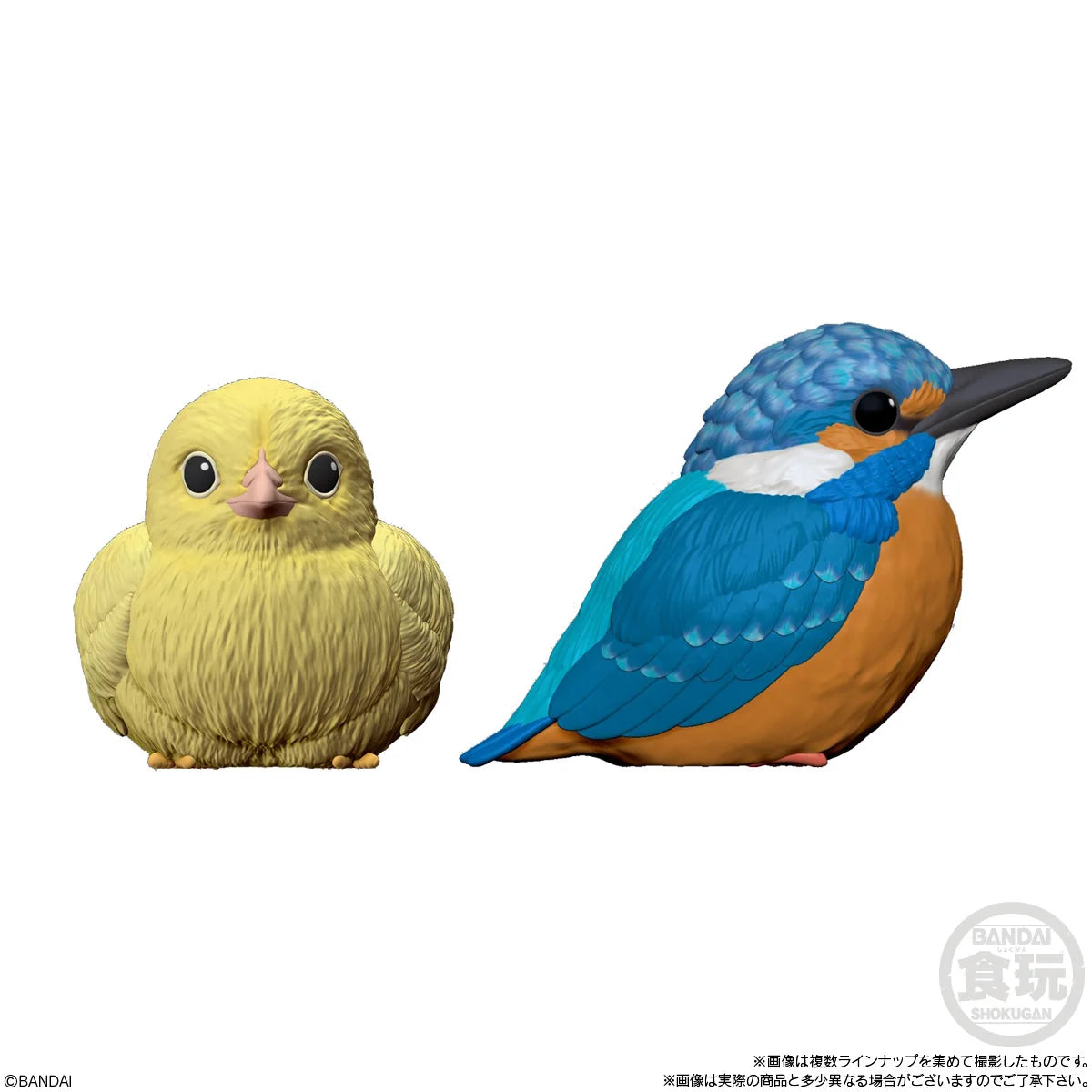 Tenori Friends 4 Birds (Box of 12)