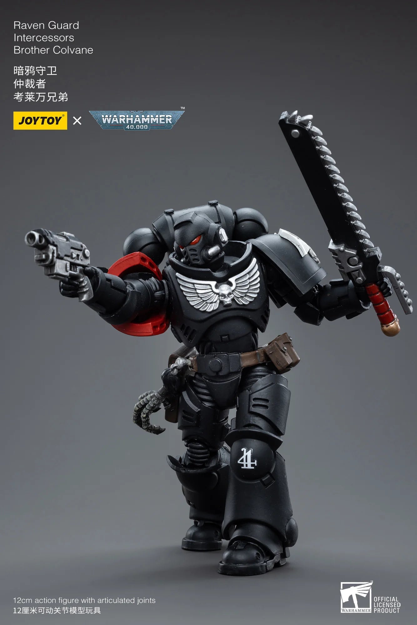 Warhammer 40K-Raven Guard Intercessors Brother Colvane