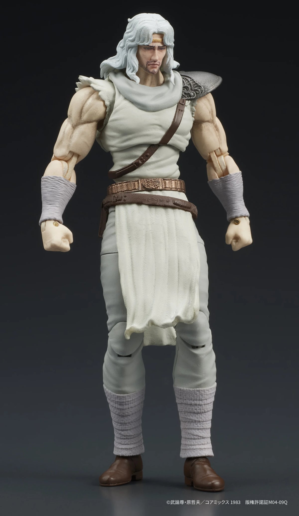 DIGACTION Fist of the North Star TOKI