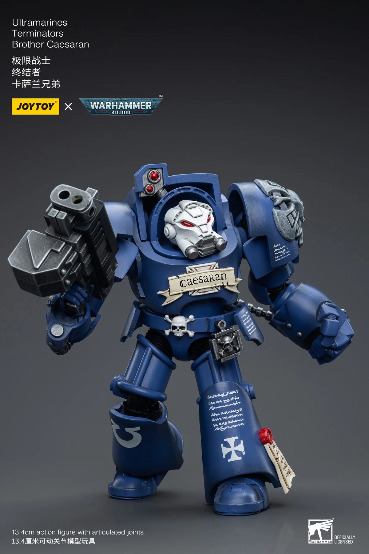 Ultramarines Terminators Brother Caesaran
