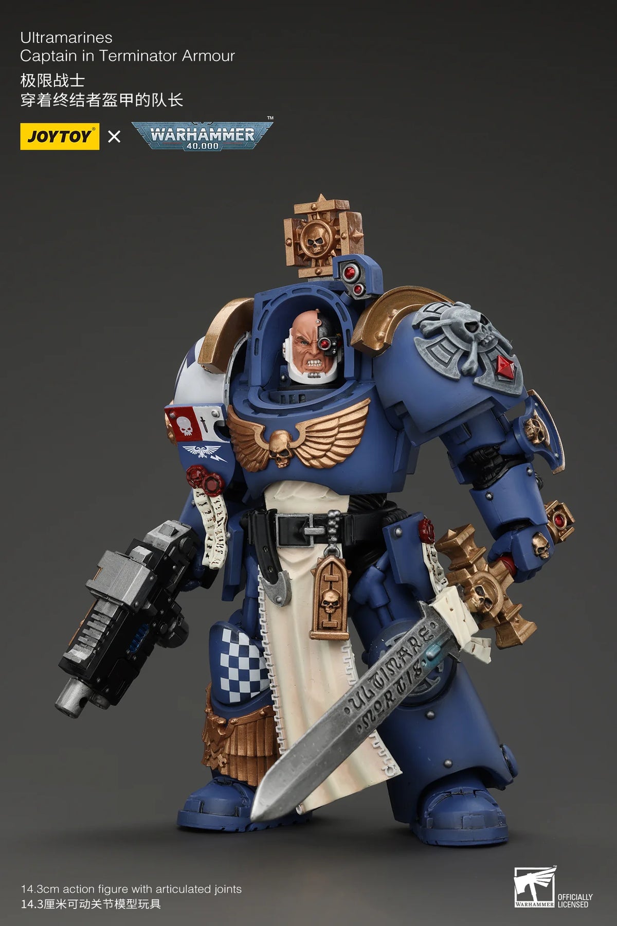 Ultramarines Captain In Terminator Armour