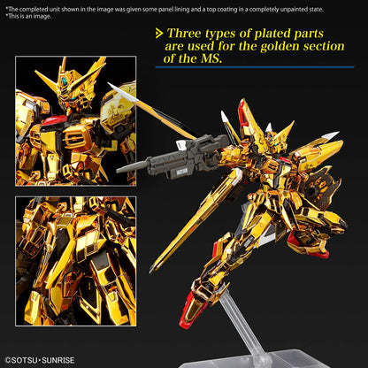 RG 1/144 Akatsuki Gundam Oowashi Unit Model Kit