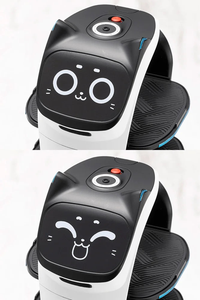 GRANDE SCALE BellaBot