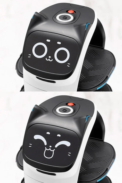 GRANDE SCALE BellaBot