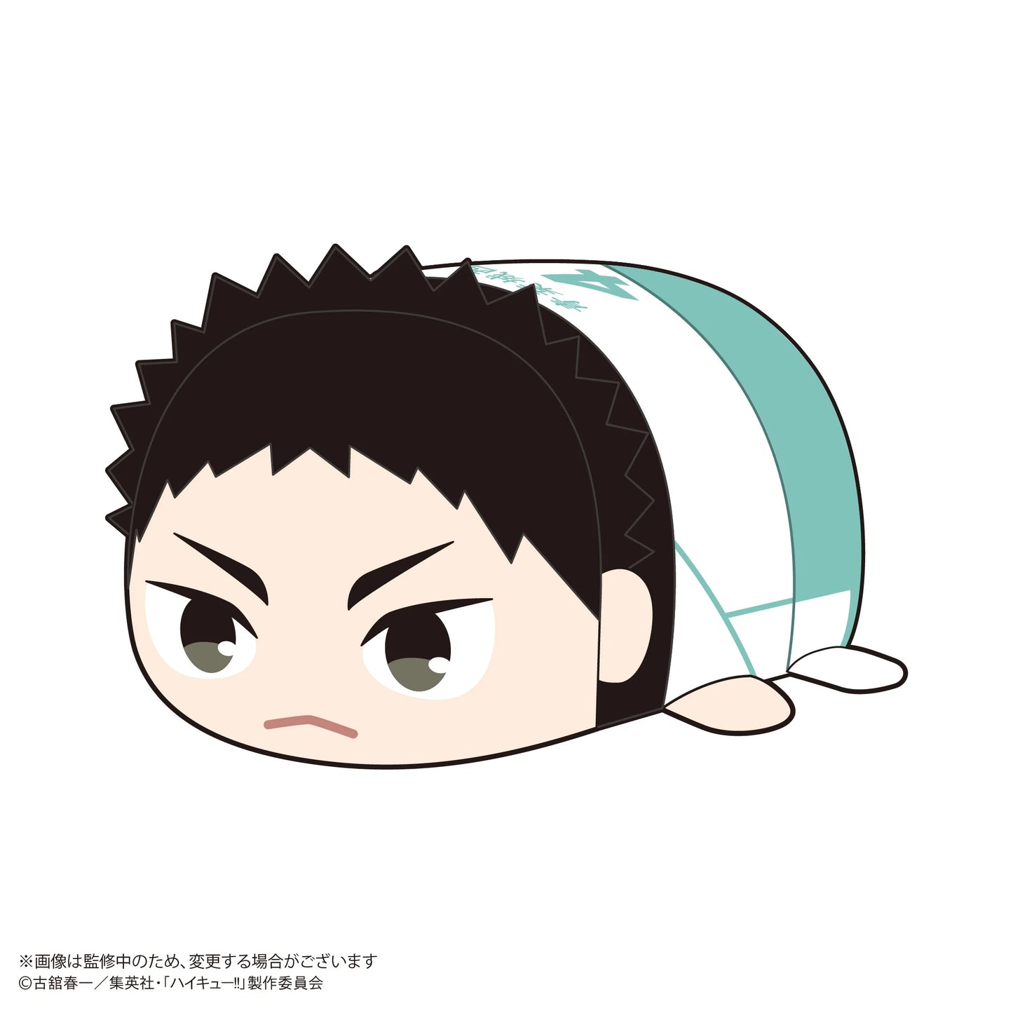 Haikyu!! POTE KORO MASCOT (6pc per box)