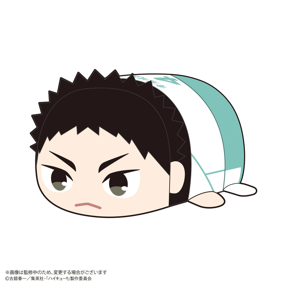 Haikyu!! POTE KORO MASCOT (6pc per box)