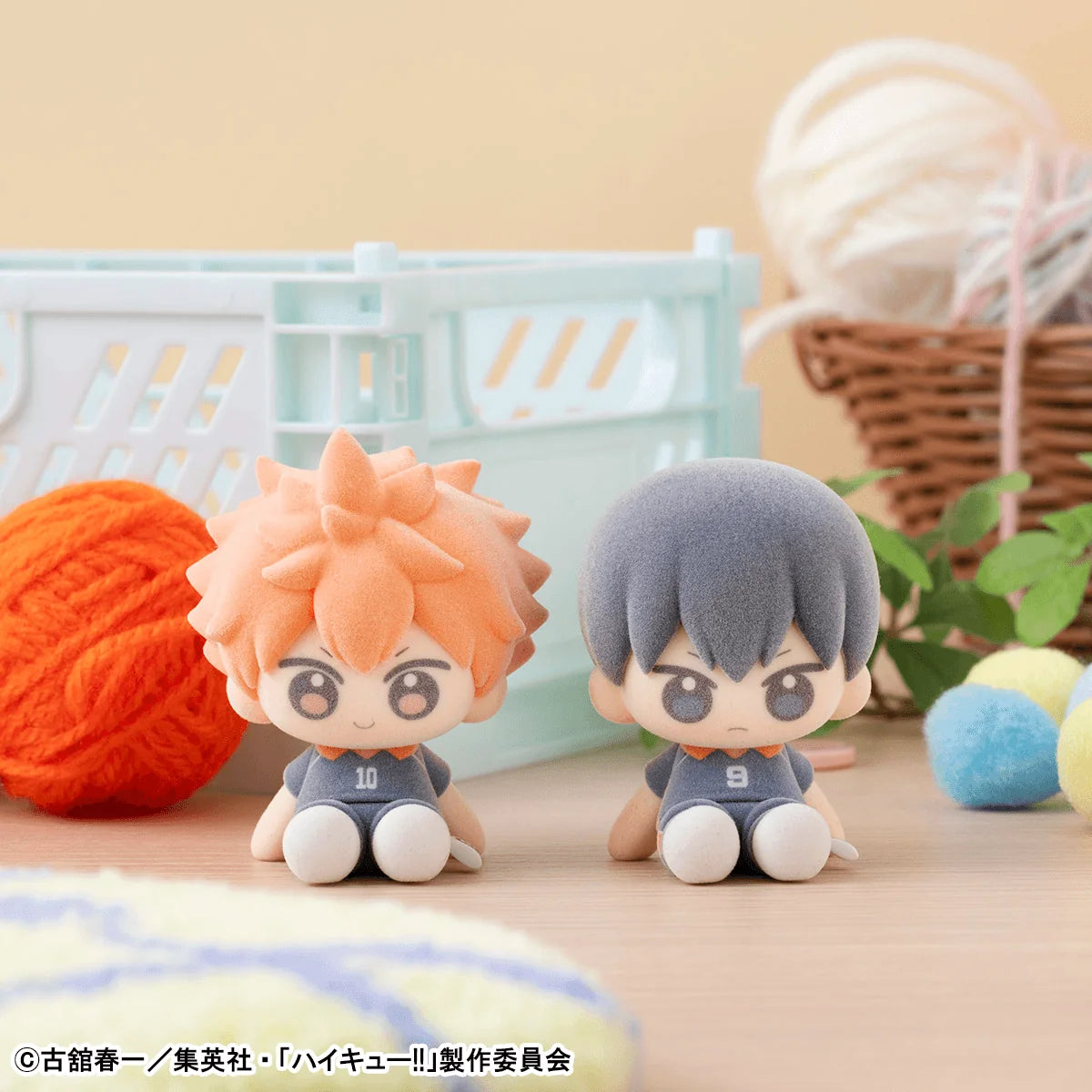 Nuippo Haikyu!!