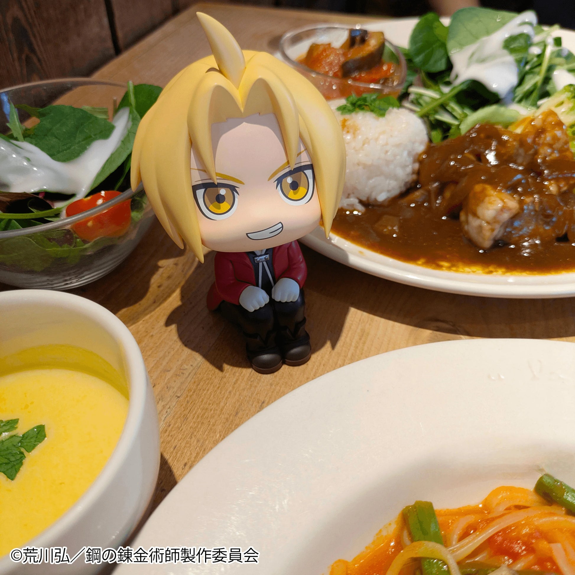 Lookup FULLMETAL ALCHEMIST Edward Elric