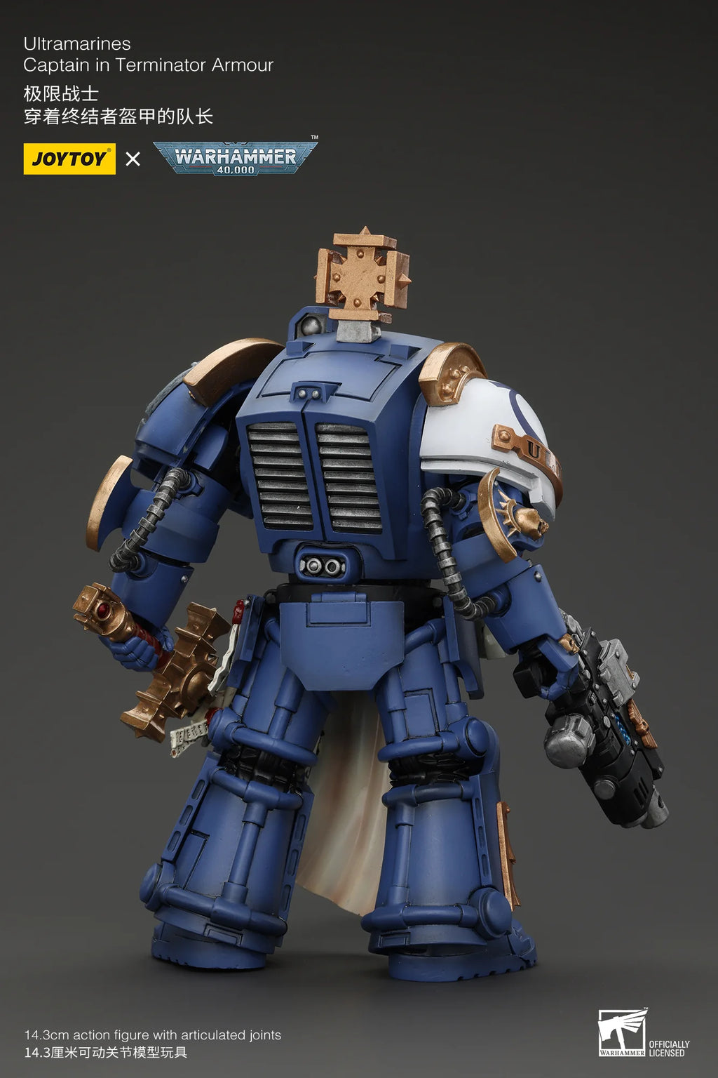 Ultramarines Captain In Terminator Armour