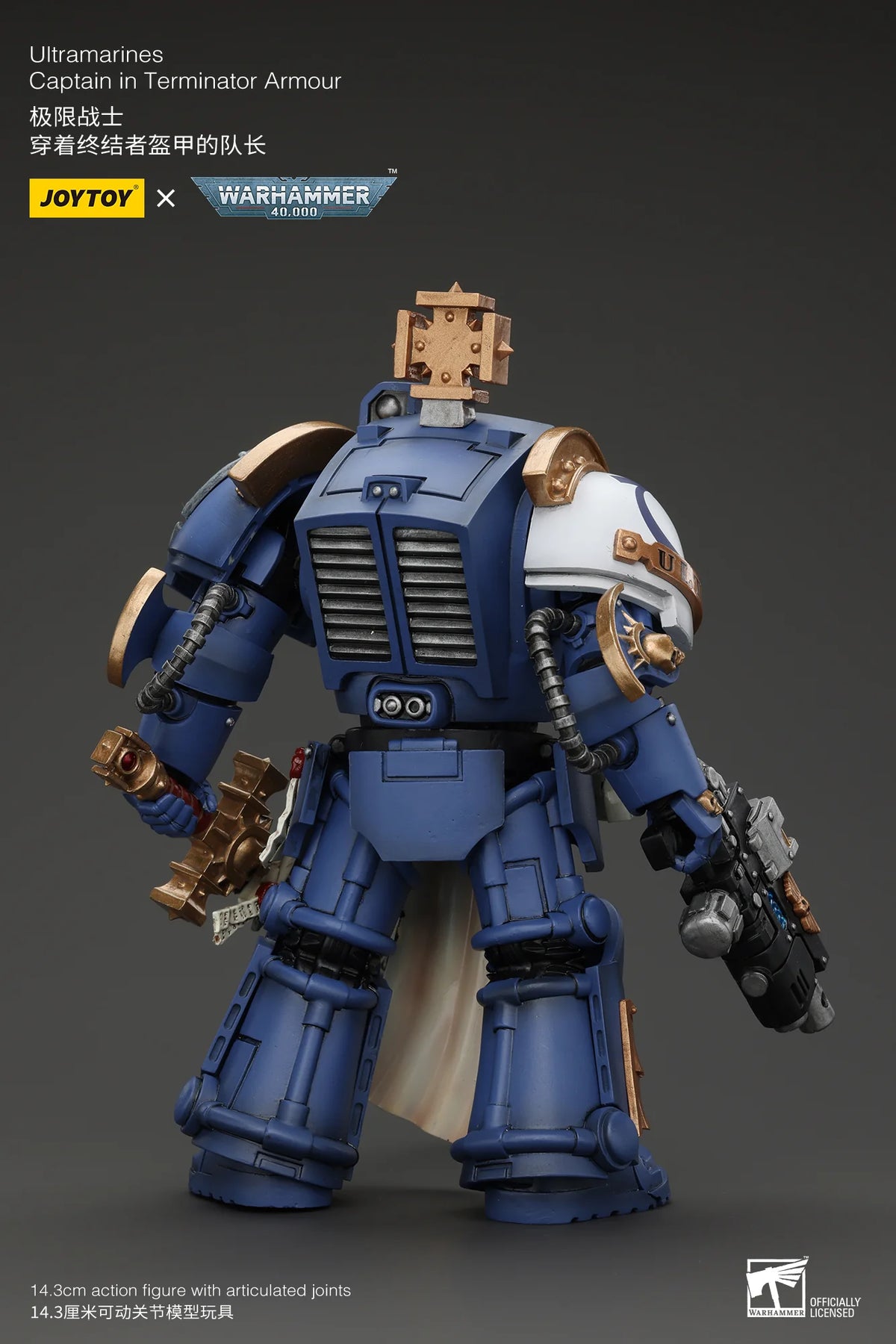 Ultramarines Captain In Terminator Armour