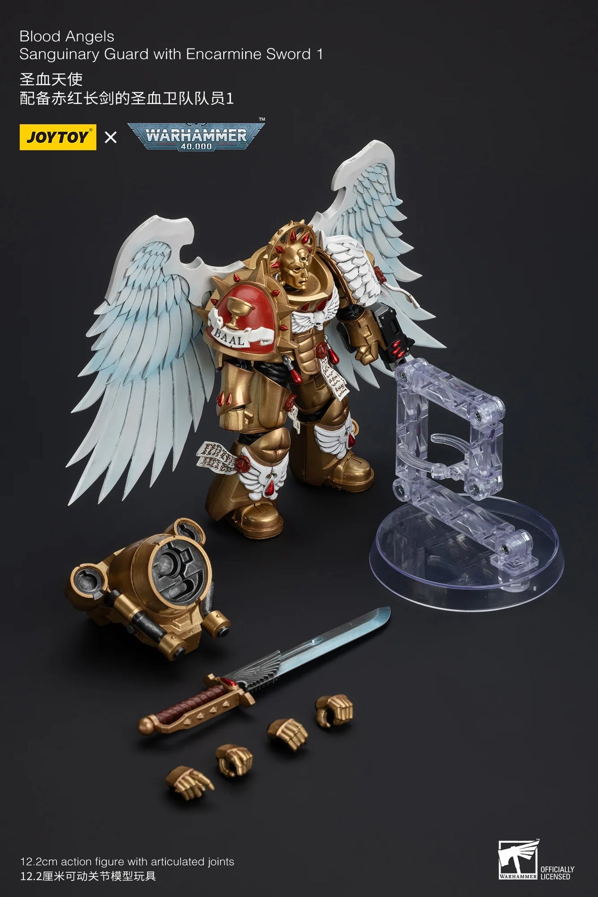 Blood Angels Sanguinary Guard with Encarmine Sword 1