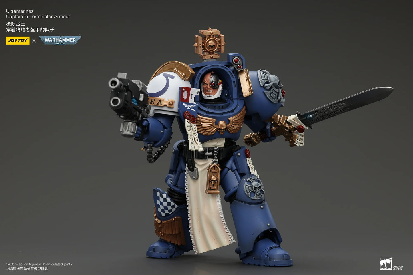 Ultramarines Captain In Terminator Armour