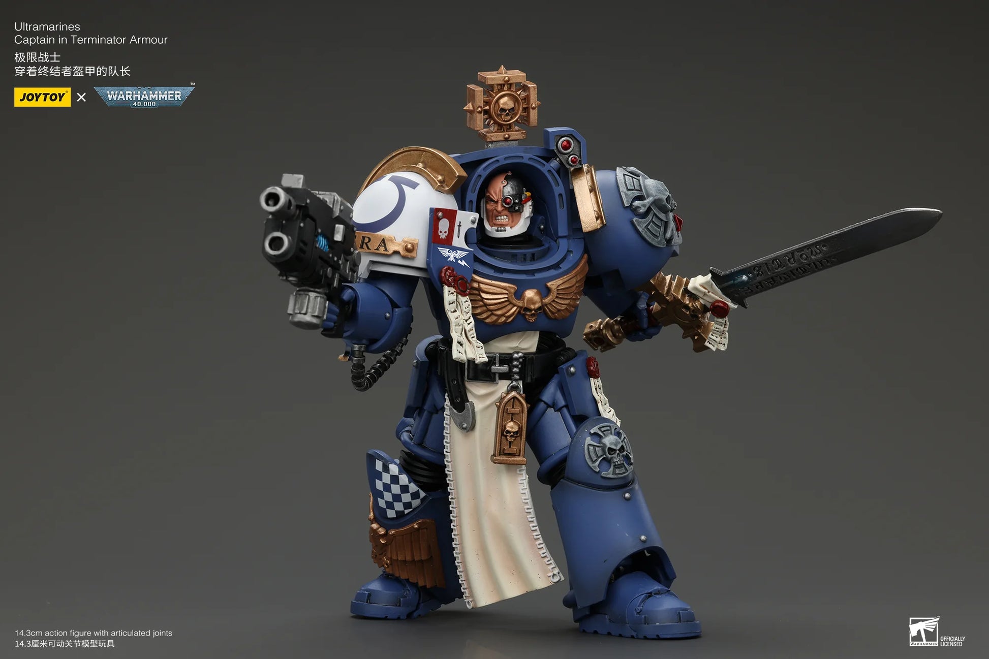 Ultramarines Captain In Terminator Armour