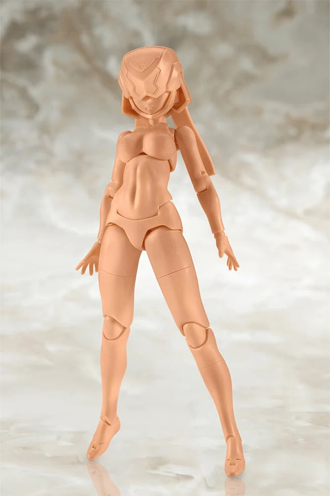 B1R-L CHASSIS KIT SKIN COLOR E
