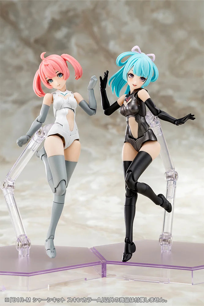 B1R-M CHASSIS KIT SKIN COLOR A