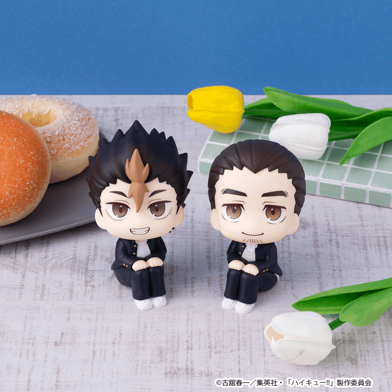 Lookup Haikyu!! Yu Nishinoya & Asahi Azumane【with gift】