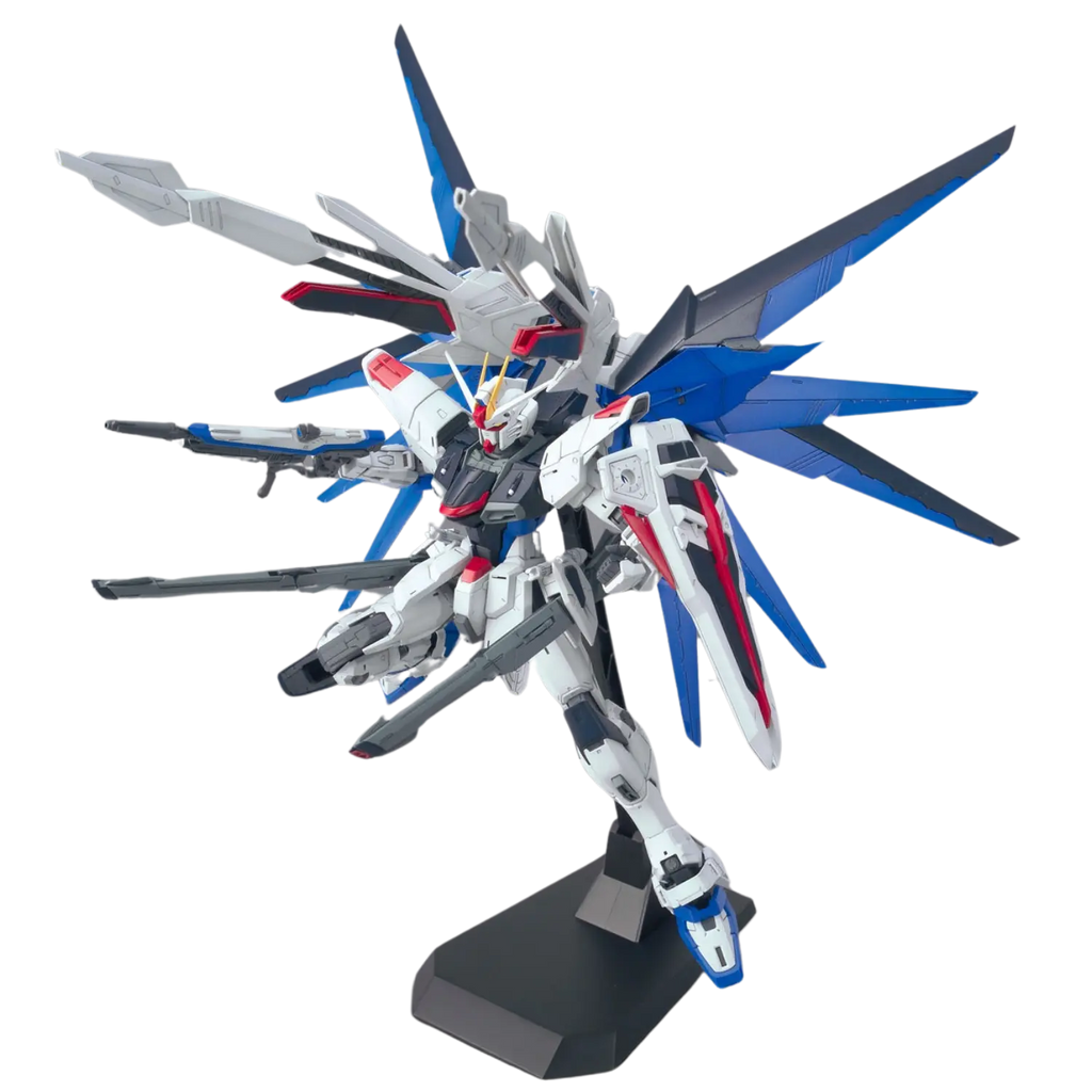 MG Gundam Seed - Freedom Gundam Ver. 2.0, view 6