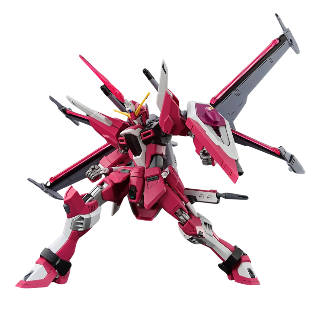 HG 1/144 Infinite Justice Gundam Type II, view 11