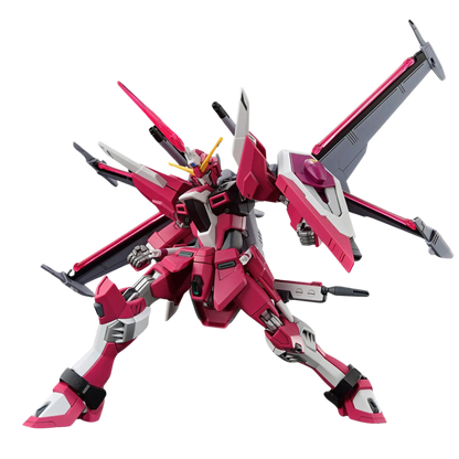 HG 1/144 Infinite Justice Gundam Type II