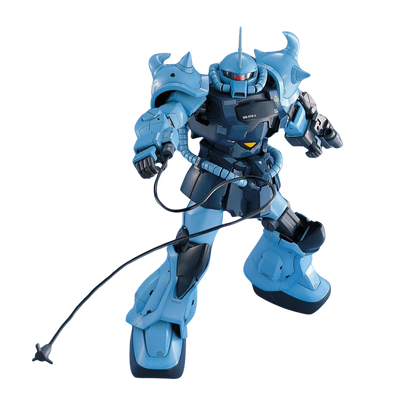 MG 1/100 MS-07B-3 Gouf Custom