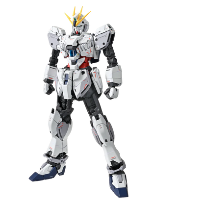 MG 1/100 RX-9/C Narrative Gundam C-Packs Ver.Ka