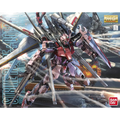 MG 1/100 Strike Rouge (Ootori Unit) Ver. RM